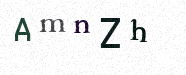 Visual Confirmation Security Code