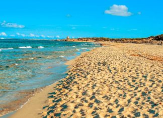 A local’s guide to Ibiza: 10 top tips