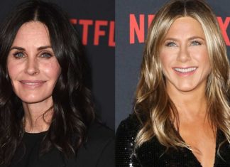 Plane carrying Jennifer Aniston, Courteney Cox makes emergency landing: report