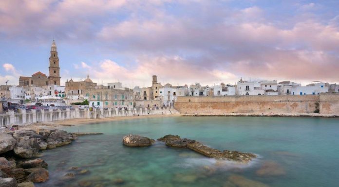 A New Coral Reef Was Just Discovered Off the Coast of Italy