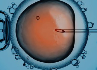 The Rise Of Reproductive Technology Amid Falling Fertility Rates