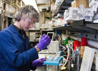 Rare Gene Mutation Could Help Develop Better Diabetes Treatments