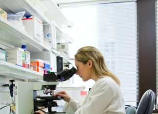 CD BioGlyco Supports Glycan Separation and Purification with Advanced Techniques