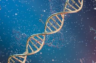 Competing for the last mile of vaccine research and development, mRNA vaccines become a hot spot for competition