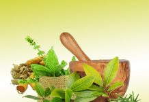 Embracing Holistic Wellness: A Journey with Back to Roots Ayurveda