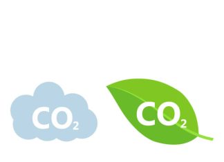 Effective Carbon Emissions Calculations in Green Building Certification