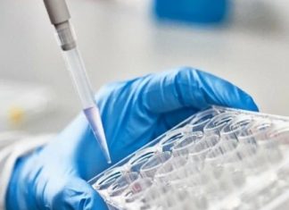 Ace Therapeutics Expands Parasitology Research Capabilities by Introducing Parasite Testing Platform