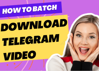 Using Telegram Video Downloader to Master the Art of Downloading